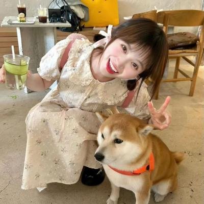猎艳专使