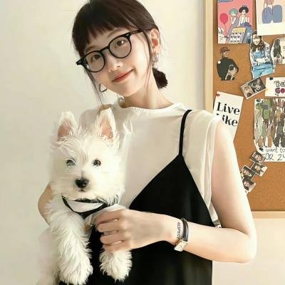 飞狐外传